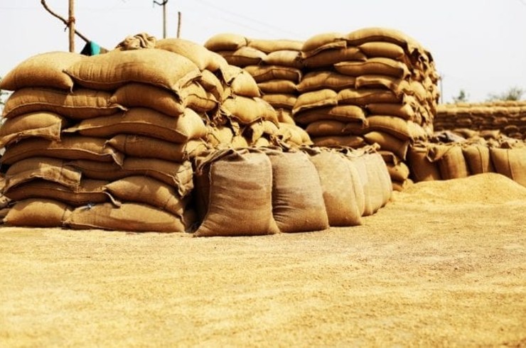 Does India Have Enough Food Grain Stocks?