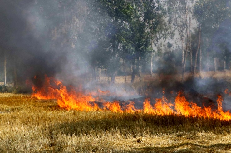North India bares for Stubble burning season: A look at everything that went wrong in 2021 