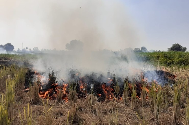 Stubble burning in Punjab fires up Delhi’s pollution: An India Tracker analysis 
