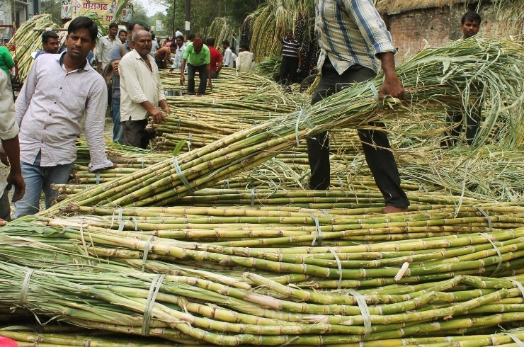 How farmers are benefitting from the diversion of excess sugar for ethanol production? 