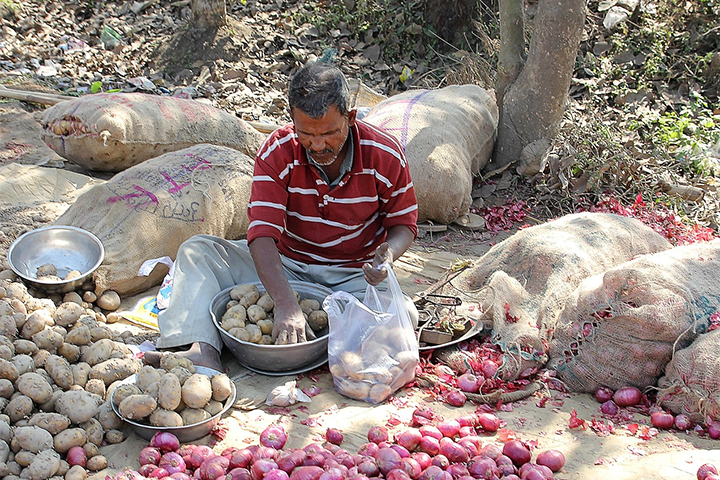 India’s inflation falls to series low: What it means for rates, markets 