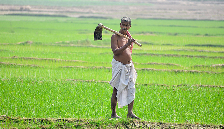 Monsoon falters after early promise, raising risks for growth and inflation 