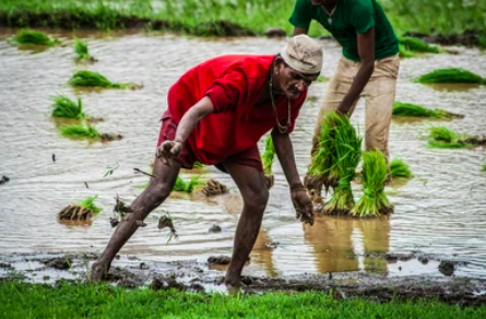 India’s Monsoon Economy: How One Season Decides the Fate of Farmers, Food Prices and Growth