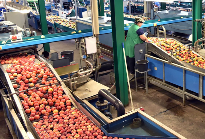 Food products lead PLI job creation despite lower investment